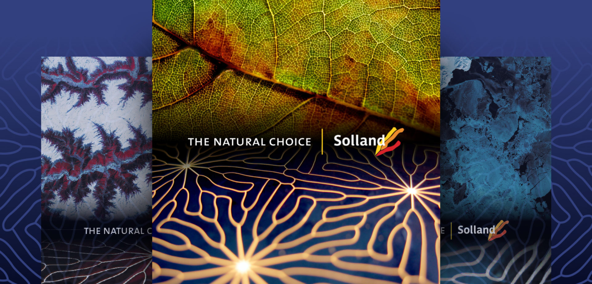 Solland Solar banner - Rene Verkaart)