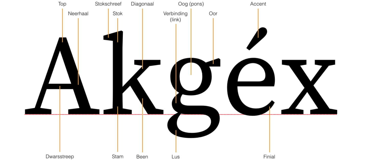 Anatomie van een lettertype Stoere Binken Design