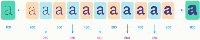 Interpolation - Rene Verkaart