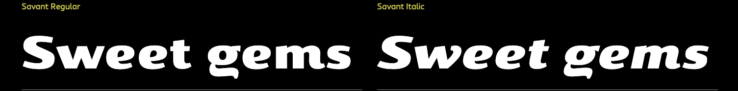 Savant gewichten - Reen Verkaart)