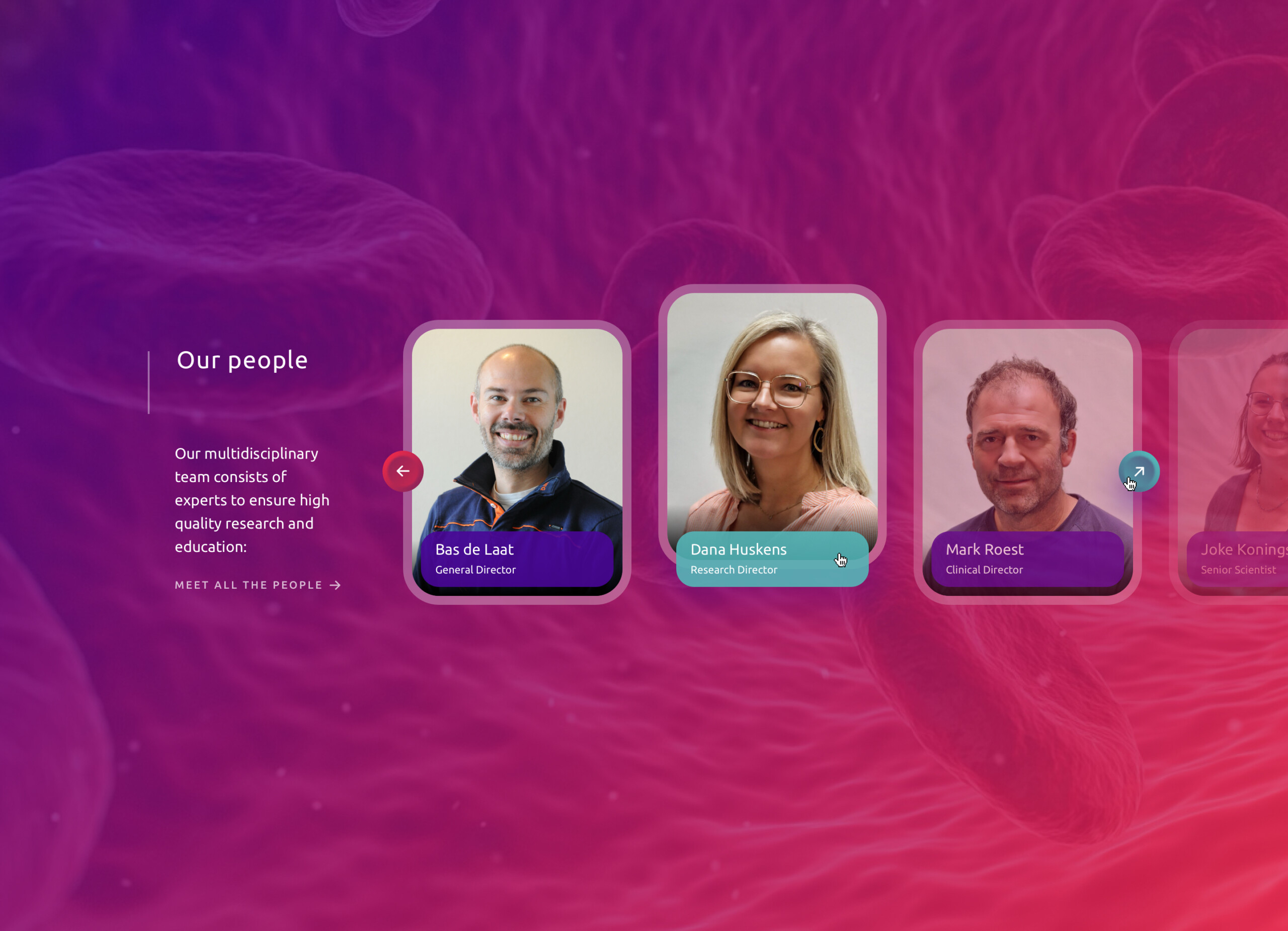 Synapse Our People section - Stoere Binken Design)