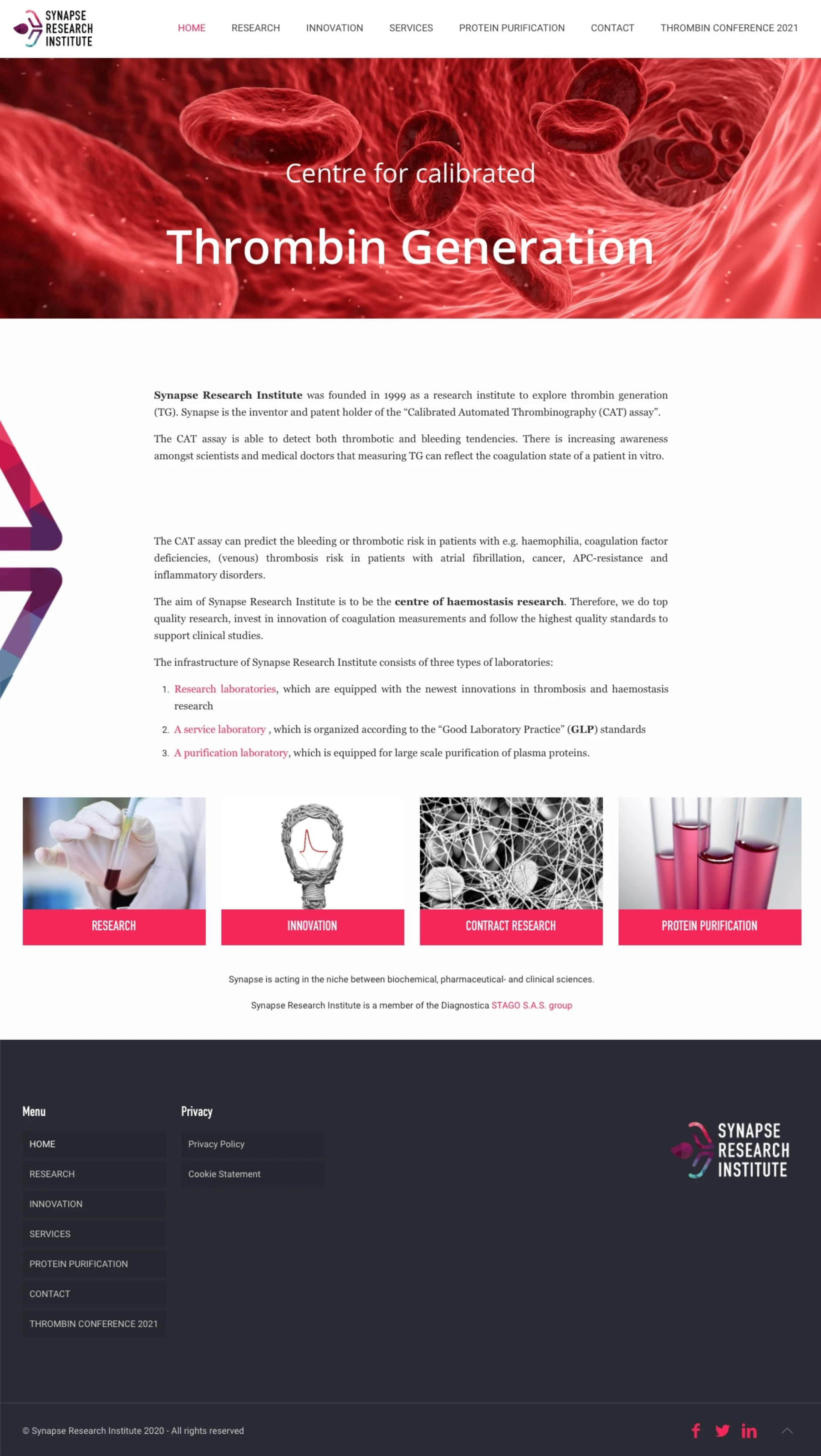Synapse Research website Before - Stoere Binken Design